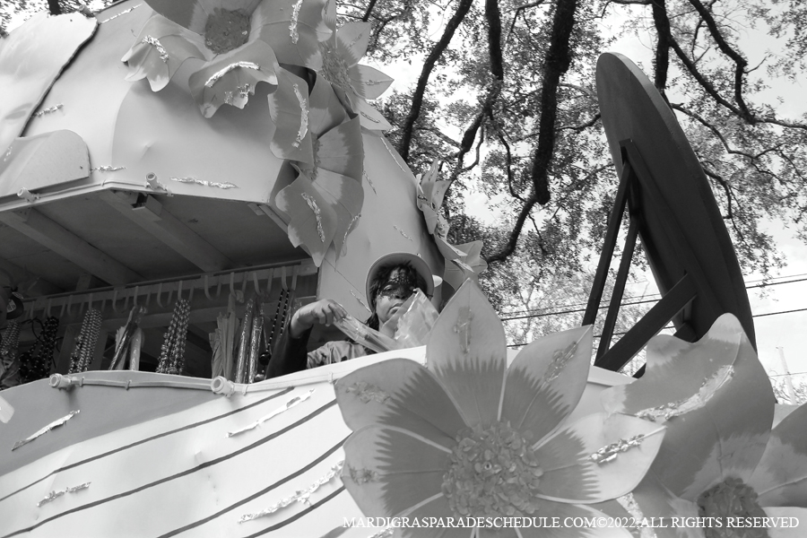 Krewe-of-Femme-Fatale-00172-2022