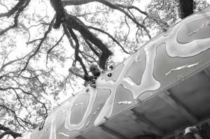 Krewe-of-Femme-Fatale-00106-2022