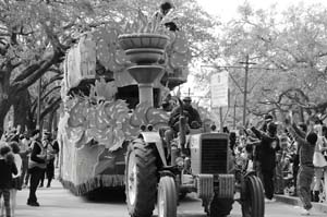 Krewe-of-Femme-Fatale-00152-2022