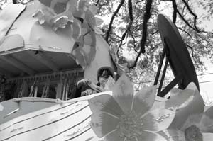 Krewe-of-Femme-Fatale-00172-2022