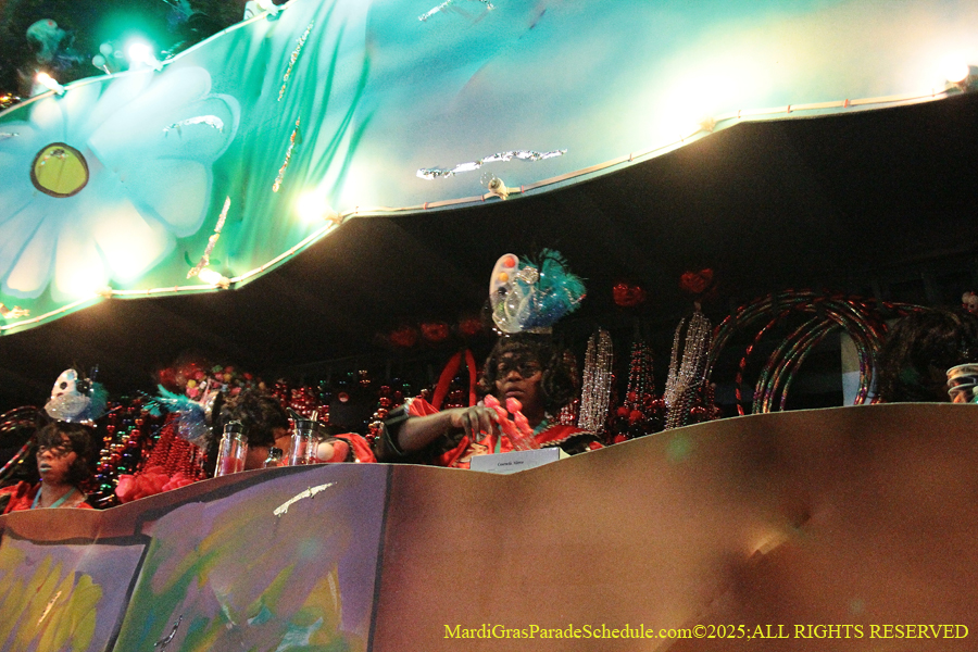 Mystic-Krwew-Femme-Fatale-2025-002843