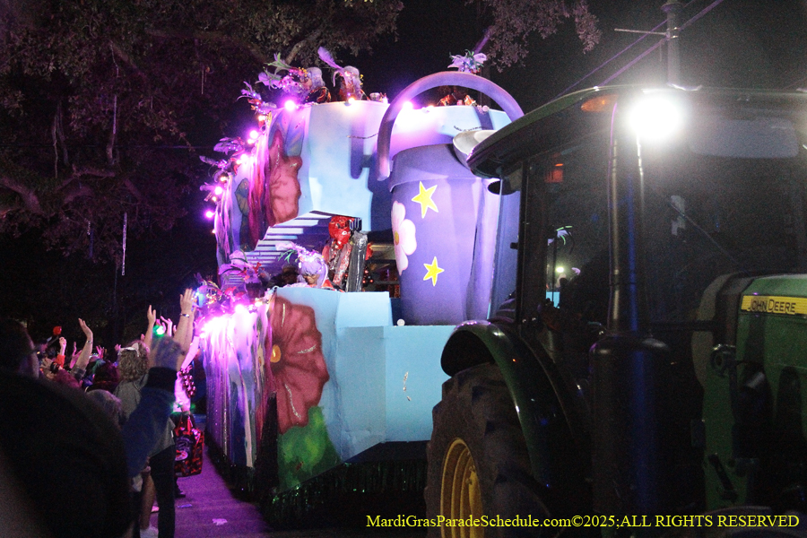 Mystic-Krwew-Femme-Fatale-2025-002890