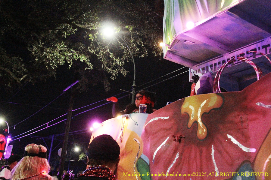 Mystic-Krwew-Femme-Fatale-2025-002972