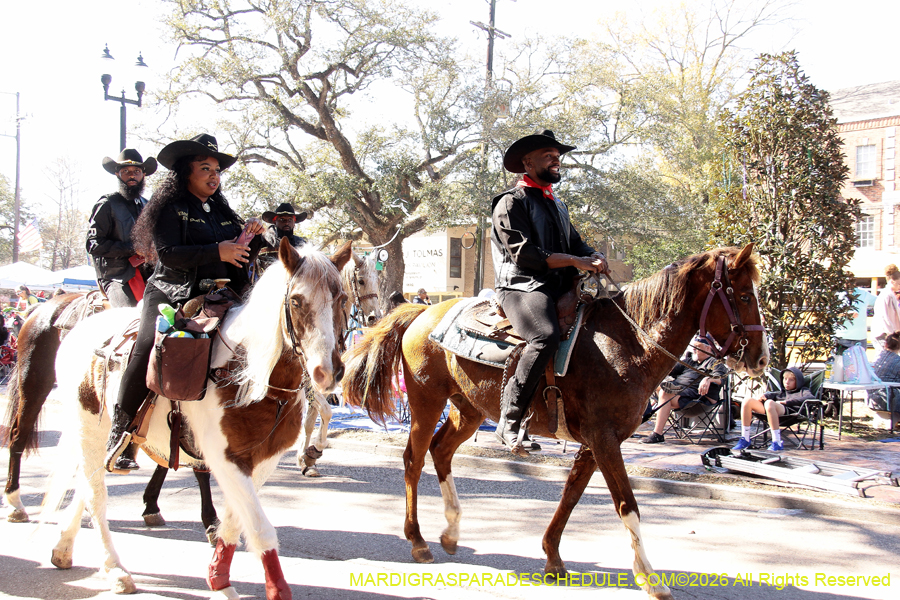 Mystic-Krewe-Femme-Fatale-2026-4212