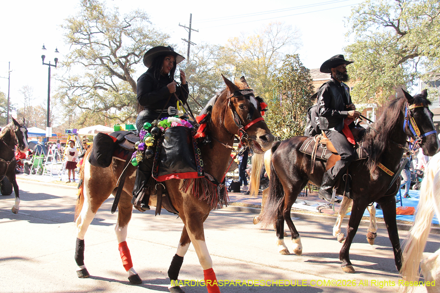 Mystic-Krewe-Femme-Fatale-2026-4213