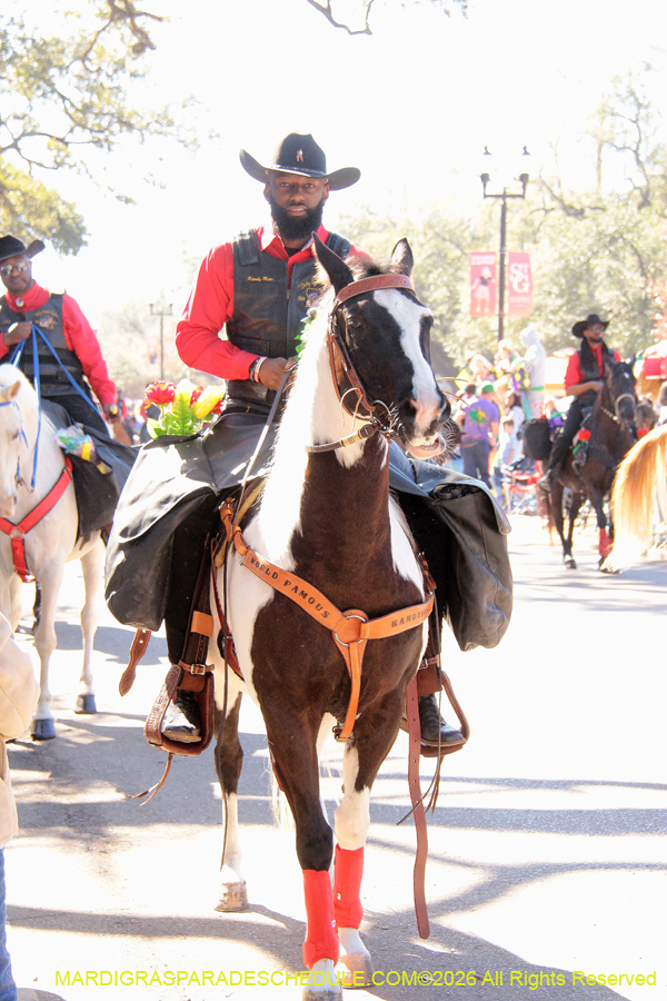 Mystic-Krewe-Femme-Fatale-2026-4221