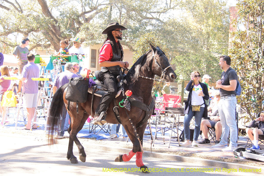 Mystic-Krewe-Femme-Fatale-2026-4222