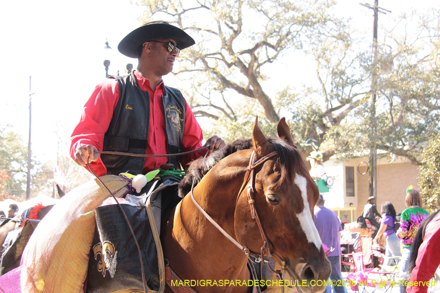 Mystic-Krewe-Femme-Fatale-2026-4223