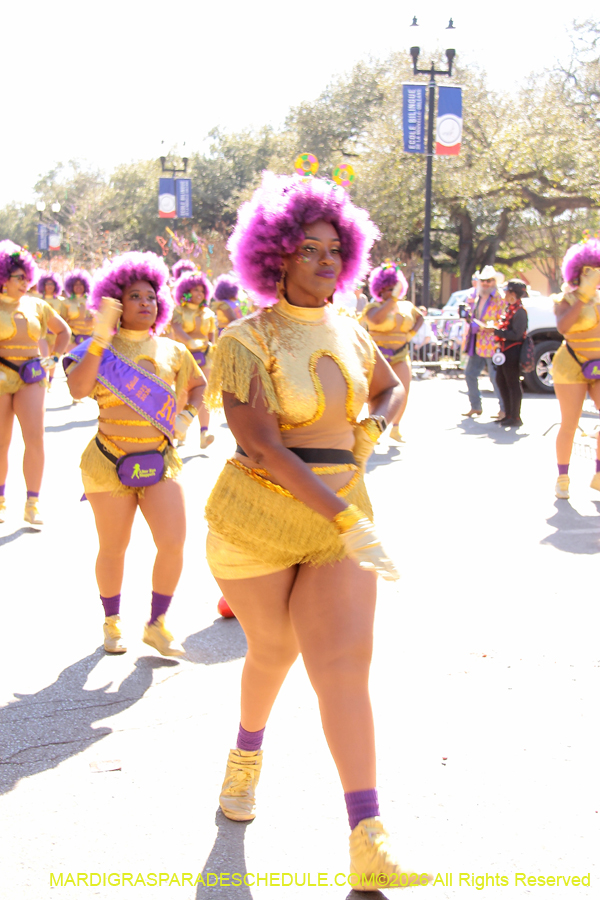 Mystic-Krewe-Femme-Fatale-2026-4624