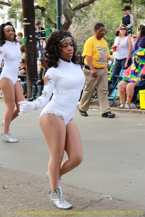 2014-Krewe-of-Freret11006