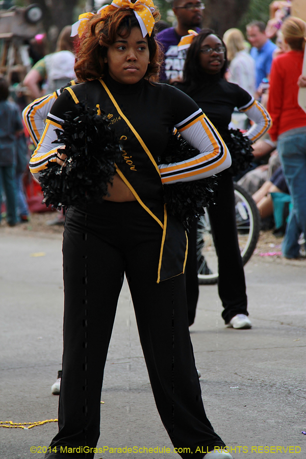 2014-Krewe-of-Freret11012