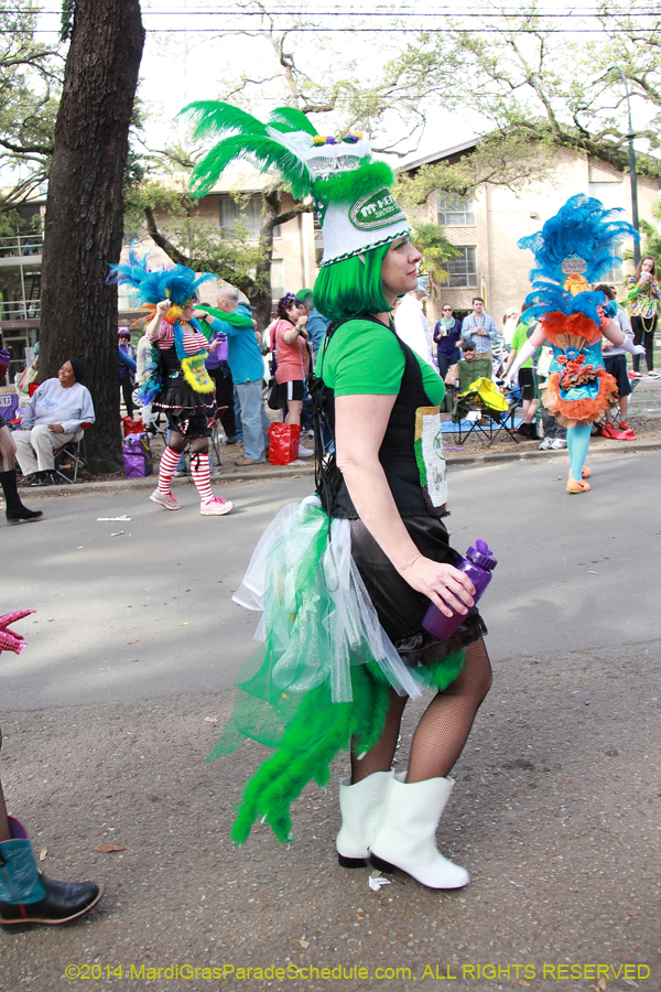 2014-Krewe-of-Freret11080