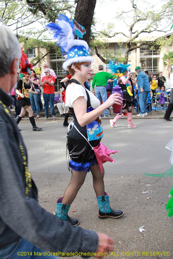 2014-Krewe-of-Freret11081
