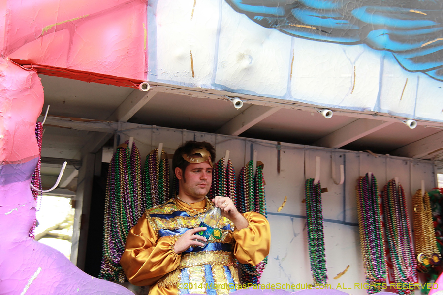 2014-Krewe-of-Freret11101
