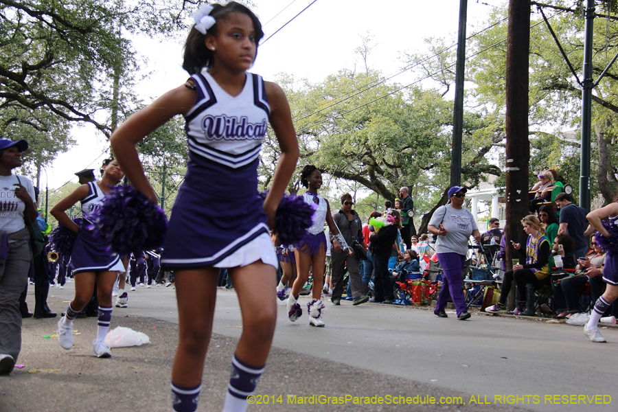 2014-Krewe-of-Freret11104