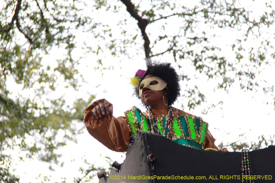 2014-Krewe-of-Freret11110