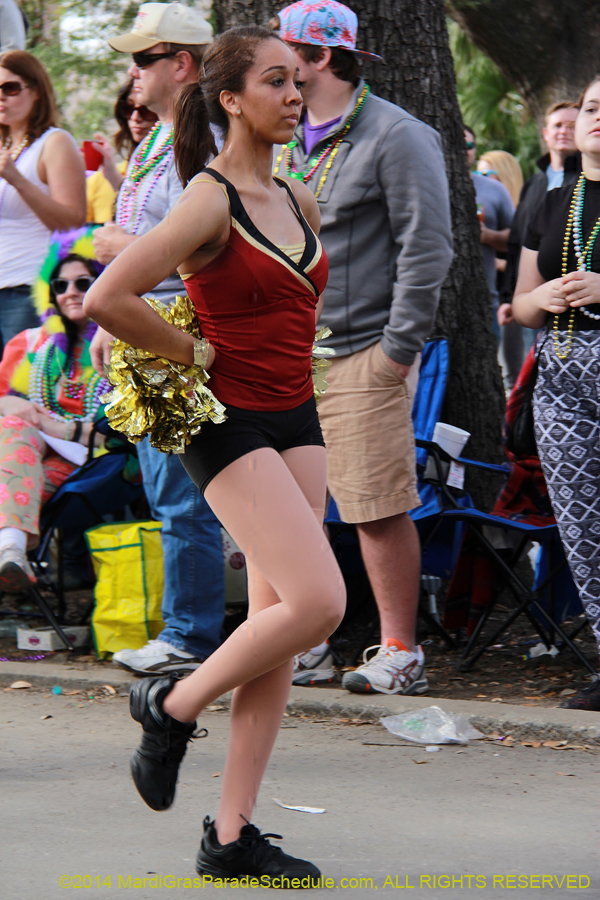 2014-Krewe-of-Freret11116