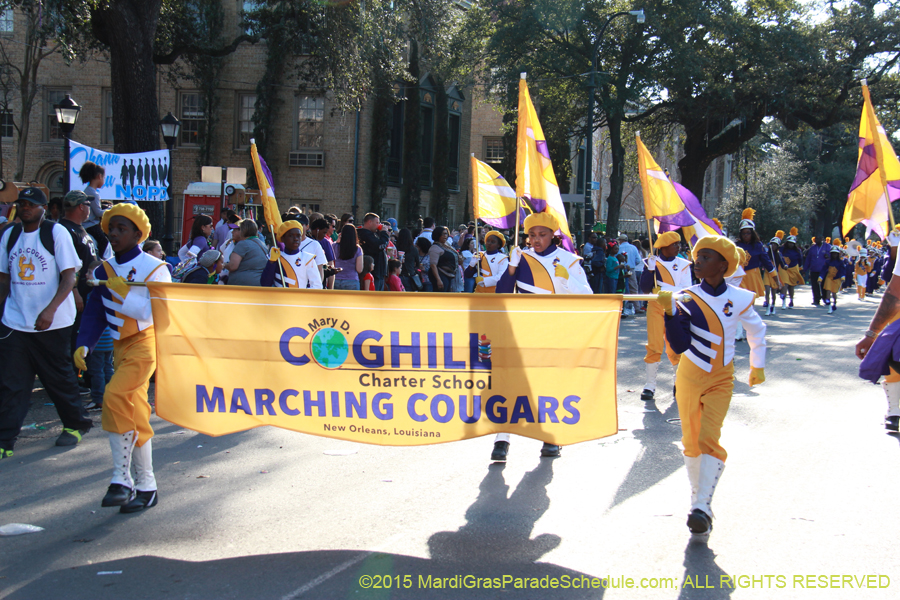 Krewe-of-Freret-2015-11426