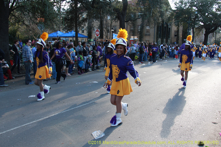 Krewe-of-Freret-2015-11428