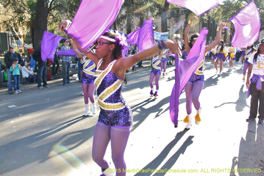 Krewe-of-Freret-2015-11430