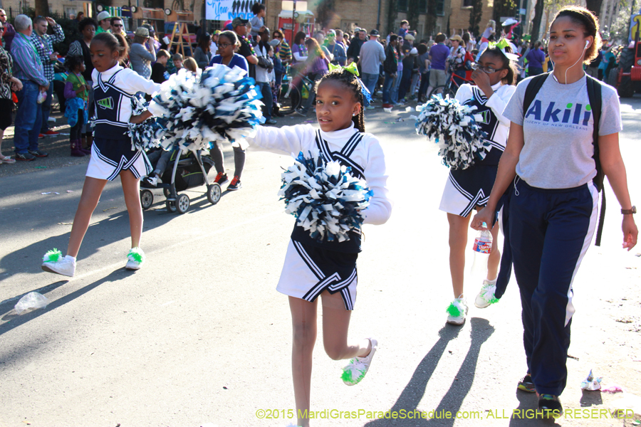 Krewe-of-Freret-2015-11441