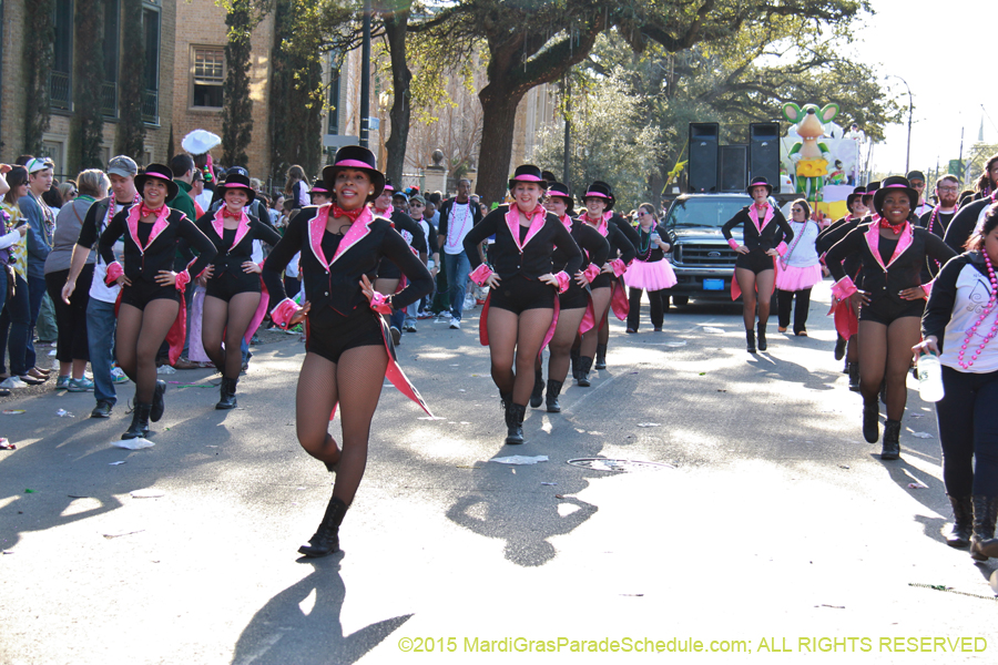 Krewe-of-Freret-2015-11480