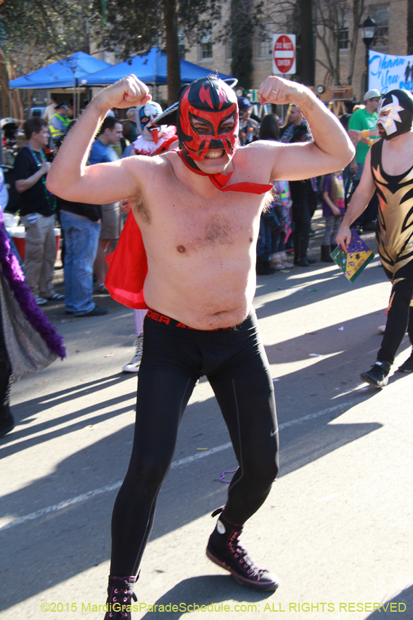 Krewe-of-Freret-2015-11499