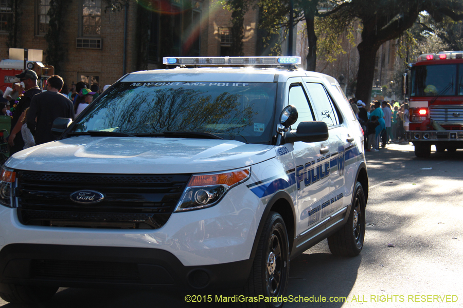 Krewe-of-Freret-2015-11538