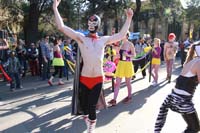 Krewe-of-Freret-2015-11501