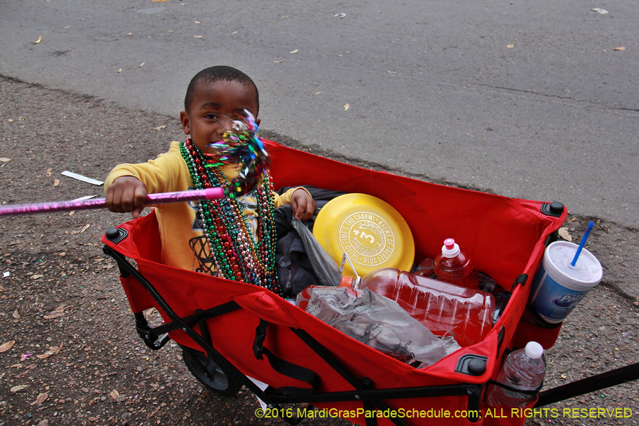 2016-Krewe-of-Freret-002165