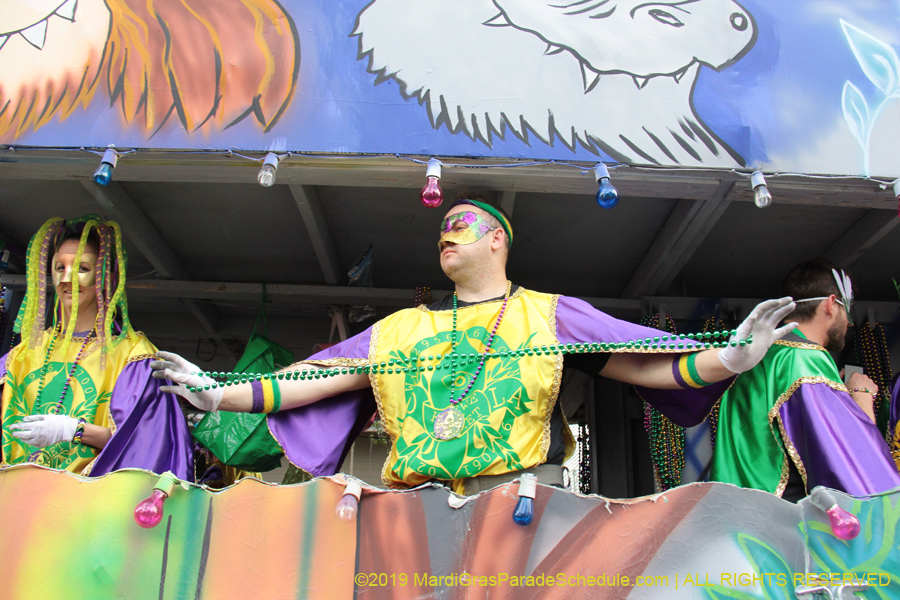 Krewe-of-Freret-2019-002272
