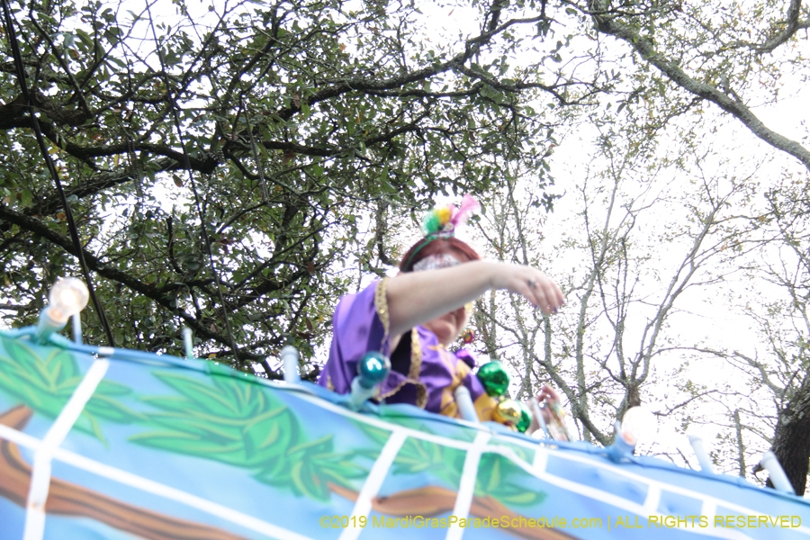 Krewe-of-Freret-2019-002280