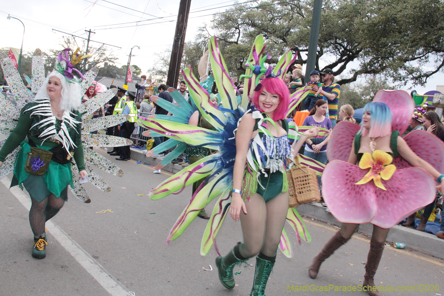 Krewe-of-Freret-2020-02737