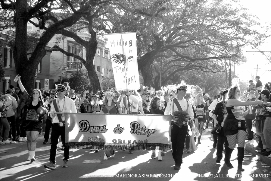 Krewe-of-Freret-00098-2022
