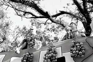 Krewe-of-Freret-00096-2022