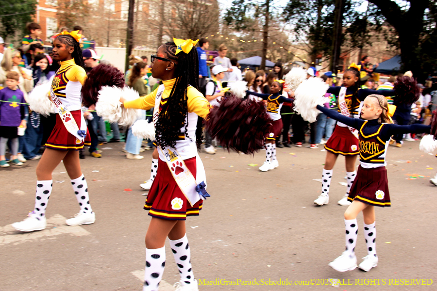 Krewe-of-Freret-2025-002543