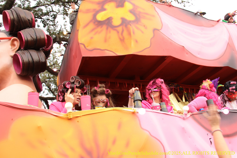 Krewe-of-Freret-2025-002593