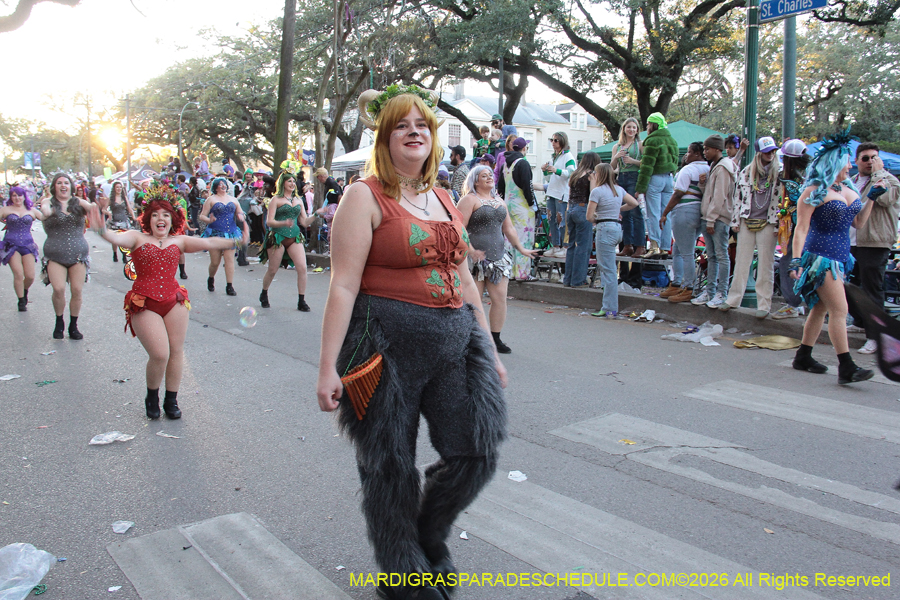 Krewe-of-Freret-2026-3764