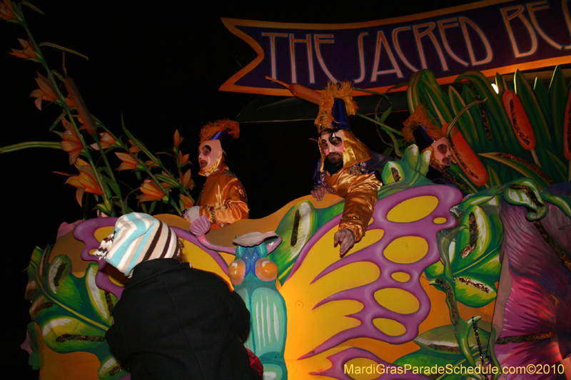 Krewe-of-Hermes-2010-Mardi-Gras-New-Orleans-5952