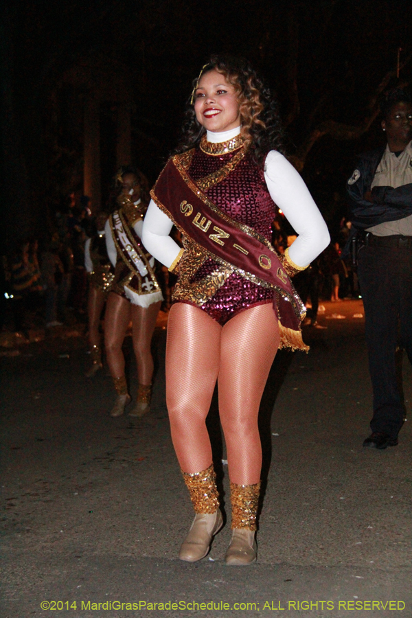 2014-Krewe-of-Hermes11105