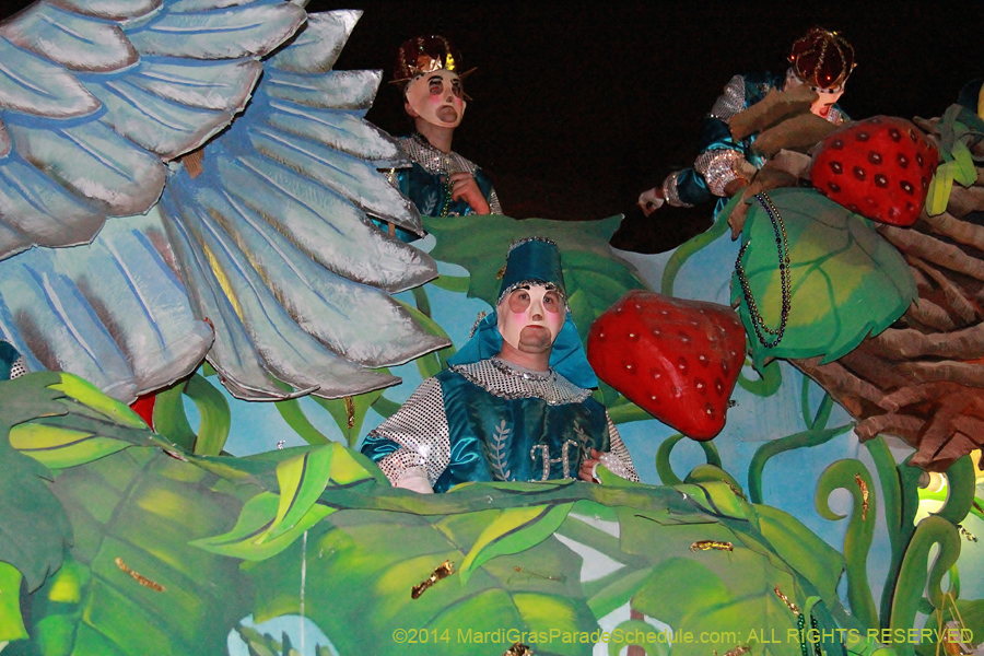 2014-Krewe-of-Hermes11112