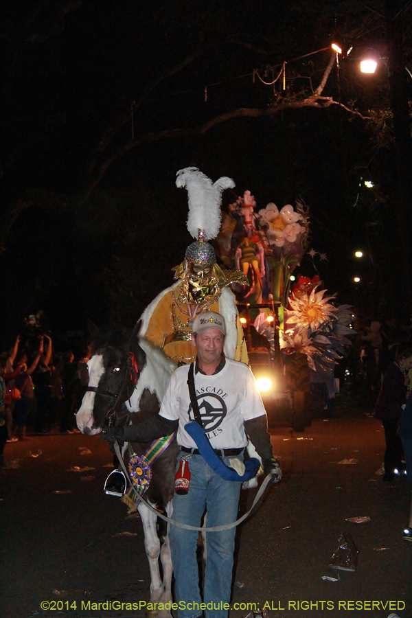 2014-Krewe-of-Hermes11145
