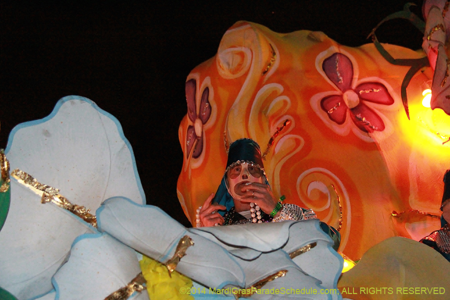 2014-Krewe-of-Hermes11159