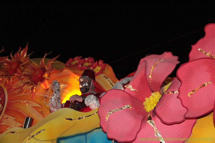 Krewe-of-Hermes-2020-05190