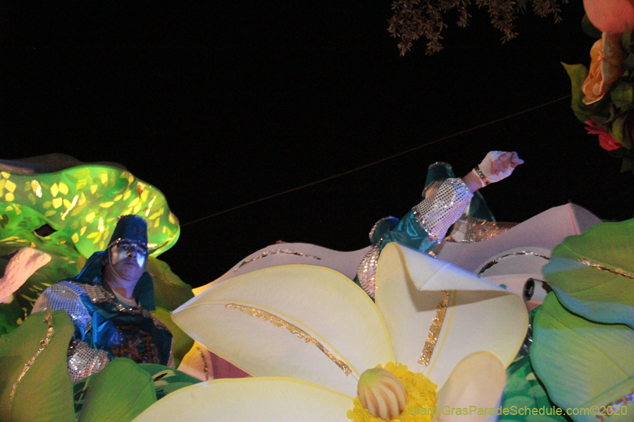Krewe-of-Hermes-2020-05199