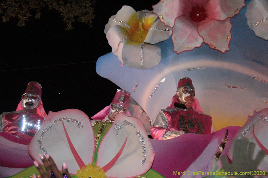 Krewe-of-Hermes-2020-05315