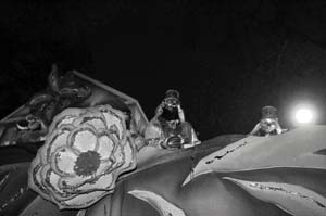 Krewe-of-Hermes-00085-2022