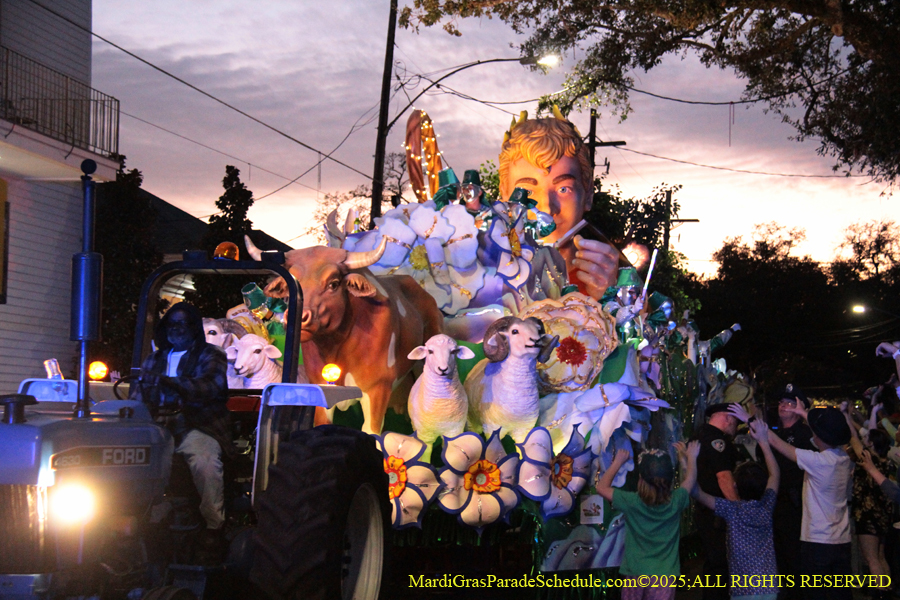 Krewe-of-Hermes-002804