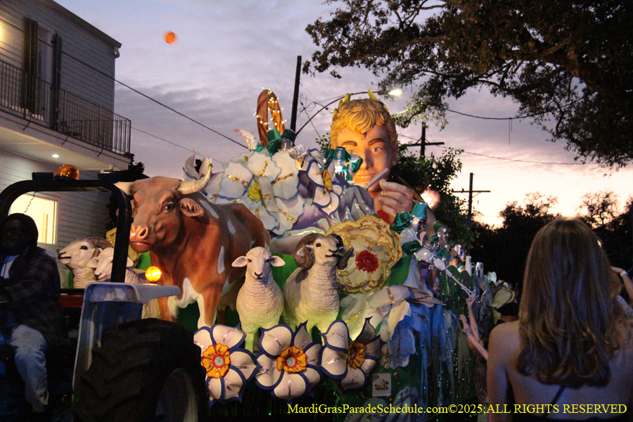 Krewe-of-Hermes-002805