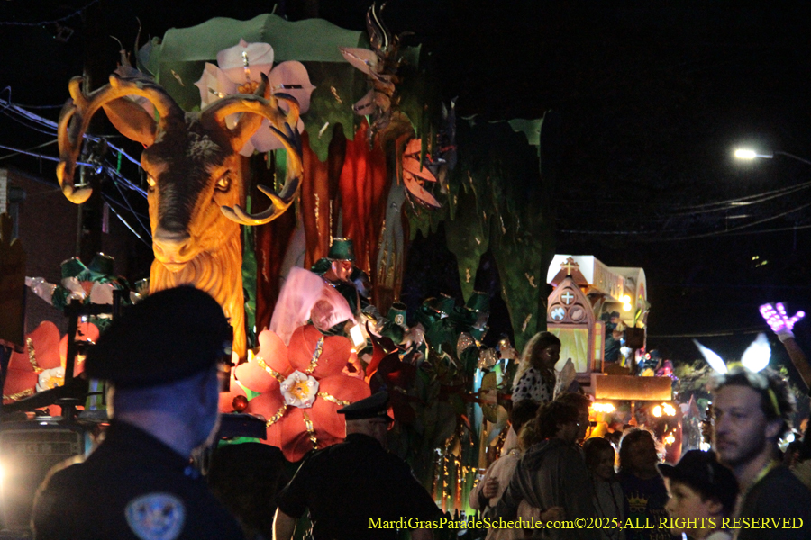 Krewe-of-Hermes-002899